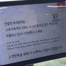 갈비의전설부산 | [부산 해운대 맛집] 부산 해운대 전설의 우대갈비 오션뷰며 맛도 완벽했던 후기!!