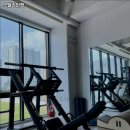 스텔라인핏 이미지