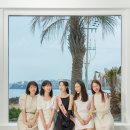 제주코롱코롱 네이버블로그