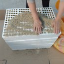 대수농장 이미지