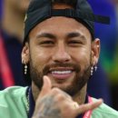 개날라리 이미지