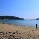 청산도봄 이미지