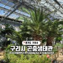 안양시자원회수시설_동 | 경기도 구리 가볼만한곳 구리시 곤충생태관 탐방기