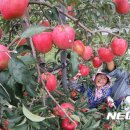 영근농장 이미지