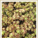 생극농장 이미지