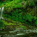 우림약국 이미지