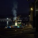 강원도내수면자원센터 | 강원도 고성 거진항 연어 경매 후기 | 3만 원에 구매한 자연산 연어 (시간, 주차, 손질 꿀팁)