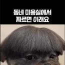 동네미용실