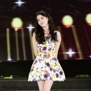 고라니 혹은 사슴 bnt뉴스