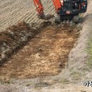 택진농장 이미지