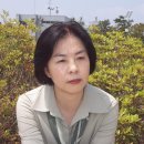 삶, 수필이다 이미지