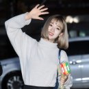 다예의원 뉴스엔