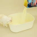 모래 | 카사바 고양이모래 후기, 아메리칸솔루션 실크니스 6kg