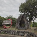 그림앤정원 | 아이랑 떠난 가족여행 제주도 아기랑 펜션으로 고른 비스비제주 앤 팜빌리지 숙박 후기