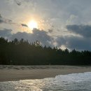 302 미노 이미지