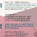 쓰리제이컴퍼니 네이버블로그
