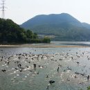 가평군-5