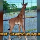 기린공인중개사사무소 이미지