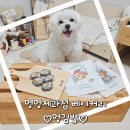 멍멍제과점 | [멍멍제과점] 강아지 베이커리간식 멍김밥 / 강아지 김밥추천 /강아지수제간식추천