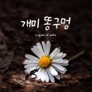 개미똥구멍 이미지