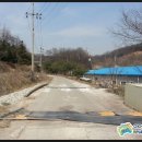 푸른사료 이미지