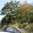 옥녀탕유원지 이미지