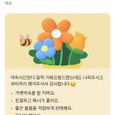 떡볶이 스타 미아점 | 벚꽃 폈으니 좀 따뜻해져라