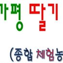 상면농장 이미지