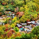 차향으로 만나는 다도 | 가을의 정취를 머금은 하동 쌍계사 여행기 – 지리산 단풍과 차향에 물들다