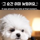 밈