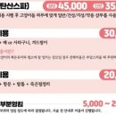 고양이무마취미용 냥지곤지 이미지
