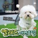 노은유치원 이미지