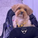 삼익세차장 이미지