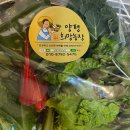 백만족과일야채