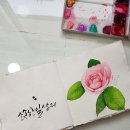 감성 수채화 캘리그라피 이미지