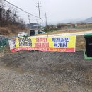 시민손짜장