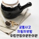 유림연합의원 이미지