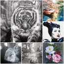 올리브학원 이미지