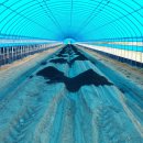 임마누엘팜 이미지