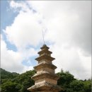 중원-95 Daum카페