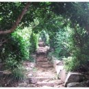 와현해수욕장(서) 이미지