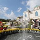임실치즈펜션 이미지
