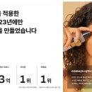 제리와콩나무