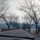 계림어탕 이미지