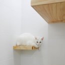 별난동물병원 이미지