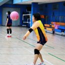 청춘체육관 이미지