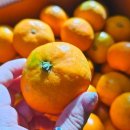 태현농장 이미지