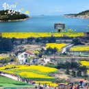 해양치유시티투어 이미지