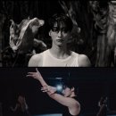 성화고 스타뉴스