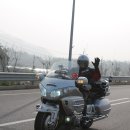 영산강사슴·곰농장 이미지